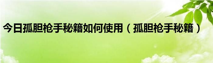 今日孤胆枪手秘籍如何使用（孤胆枪手秘籍）