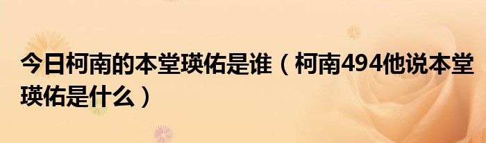 今日柯南的本堂瑛佑是谁（柯南494他说本堂瑛佑是什么）