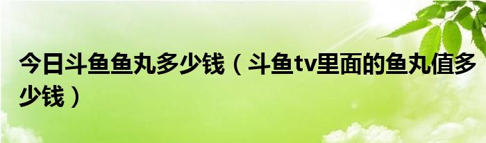 今日斗鱼鱼丸多少钱（斗鱼tv里面的鱼丸值多少钱）