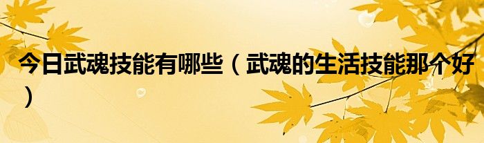 今日武魂技能有哪些（武魂的生活技能那个好）