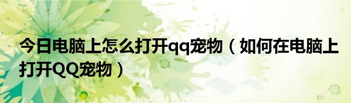 今日电脑上怎么打开qq宠物（如何在电脑上打开QQ宠物）