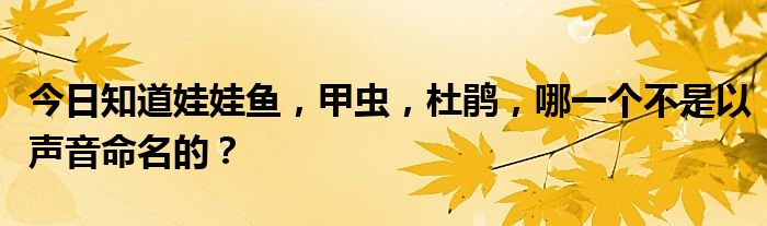 今日知道娃娃鱼，甲虫，杜鹃，哪一个不是以声音命名的？