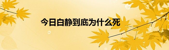 今日白静到底为什么死