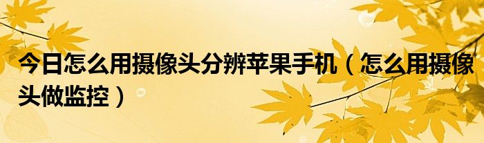 今日怎么用摄像头分辨苹果手机（怎么用摄像头做监控）