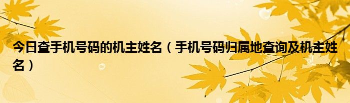 今日查手机号码的机主姓名（手机号码归属地查询及机主姓名）