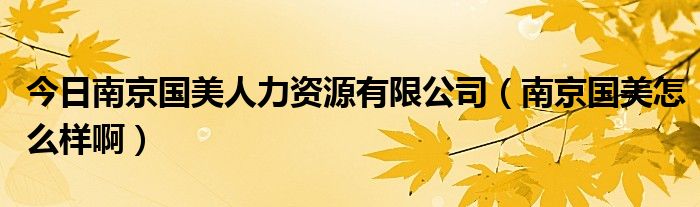 今日南京国美人力资源有限公司（南京国美怎么样啊）