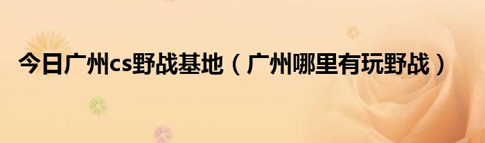 今日广州cs野战基地（广州哪里有玩野战）