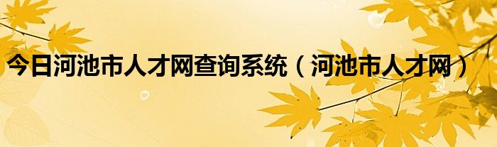 今日河池市人才网查询系统（河池市人才网）