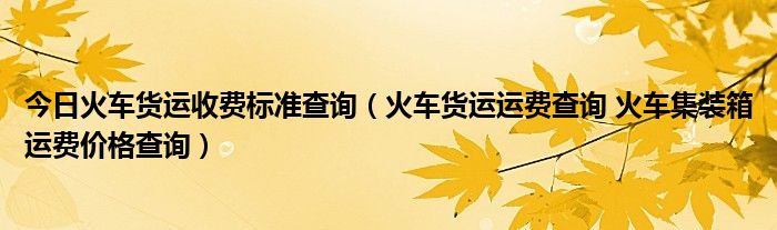 今日火车货运收费标准查询（火车货运运费查询 火车集装箱运费价格查询）