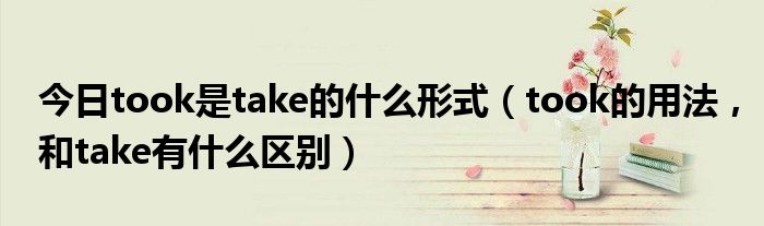 今日took是take的什么形式（took的用法，和take有什么区别）