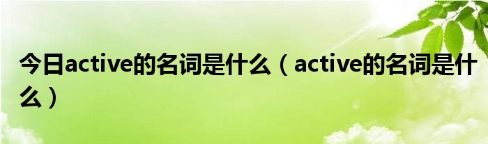 今日active的名词是什么（active的名词是什么）