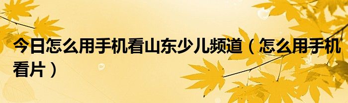 今日怎么用手机看山东少儿频道（怎么用手机看片）