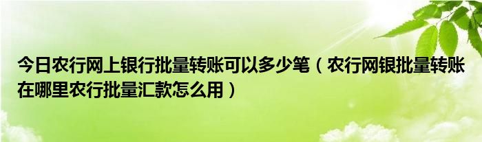 今日农行网上银行批量转账可以多少笔（农行网银批量转账在哪里农行批量汇款怎么用）