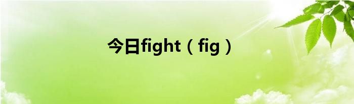 今日fight（fig）