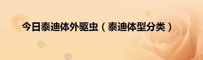 今日泰迪体外驱虫（泰迪体型分类）