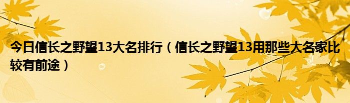 今日信长之野望13大名排行（信长之野望13用那些大名家比较有前途）