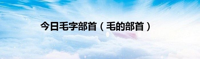 今日毛字部首（毛的部首）