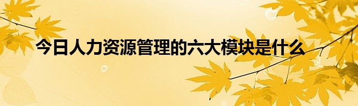 今日人力资源管理的六大模块是什么