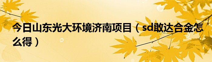 今日山东光大环境济南项目（sd敢达合金怎么得）