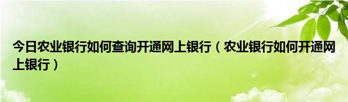 今日农业银行如何查询开通网上银行（农业银行如何开通网上银行）