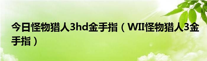 今日怪物猎人3hd金手指（WII怪物猎人3金手指）