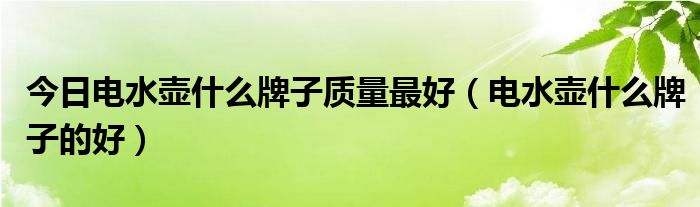 今日电水壶什么牌子质量最好（电水壶什么牌子的好）