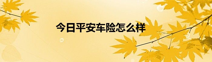 今日平安车险怎么样