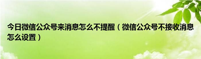 今日微信公众号来消息怎么不提醒（微信公众号不接收消息怎么设置）