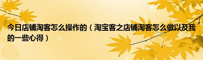 今日店铺淘客怎么操作的（淘宝客之店铺淘客怎么做以及我的一些心得）