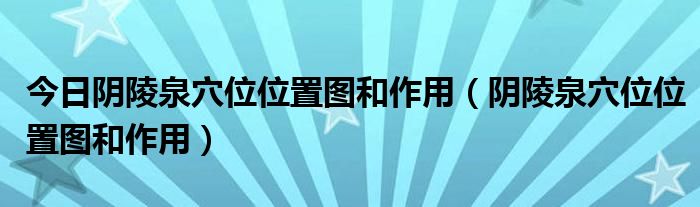 今日阴陵泉穴位位置图和作用（阴陵泉穴位位置图和作用）