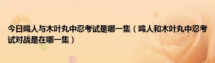 今日鸣人与木叶丸中忍考试是哪一集（鸣人和木叶丸中忍考试对战是在哪一集）