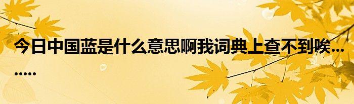 今日中国蓝是什么意思啊我词典上查不到唉........