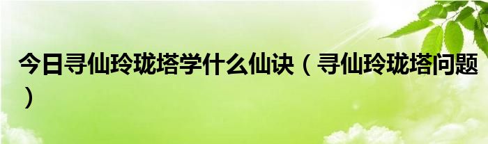 今日寻仙玲珑塔学什么仙诀（寻仙玲珑塔问题）