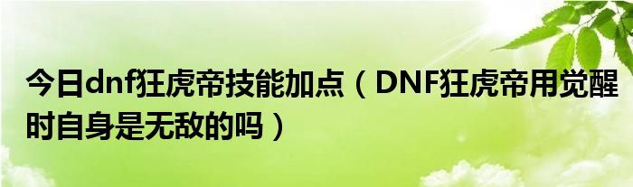 今日dnf狂虎帝技能加点（DNF狂虎帝用觉醒时自身是无敌的吗）