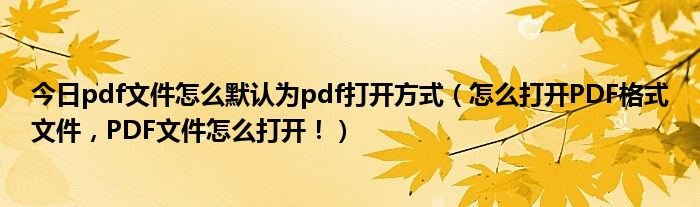 今日pdf文件怎么默认为pdf打开方式（怎么打开PDF格式文件，PDF文件怎么打开！）