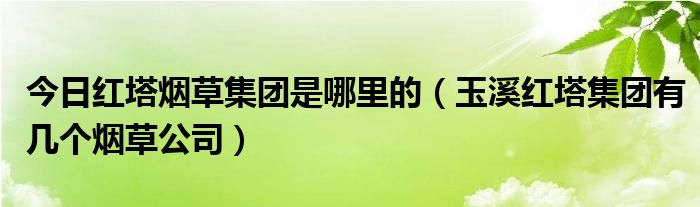 今日红塔烟草集团是哪里的（玉溪红塔集团有几个烟草公司）