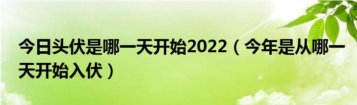 今日头伏是哪一天开始2022（今年是从哪一天开始入伏）