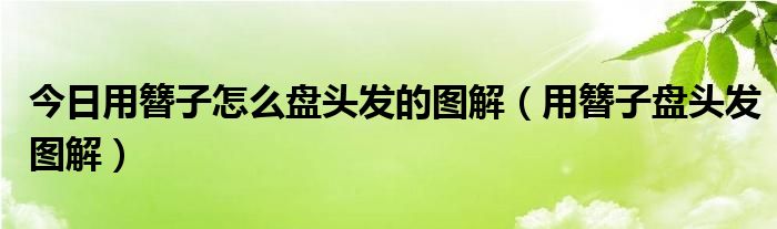 今日用簪子怎么盘头发的图解（用簪子盘头发图解）