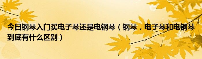 今日钢琴入门买电子琴还是电钢琴（钢琴，电子琴和电钢琴到底有什么区别）