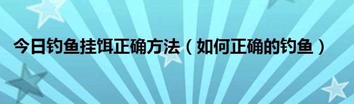 今日钓鱼挂饵正确方法（如何正确的钓鱼）