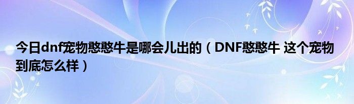 今日dnf宠物憨憨牛是哪会儿出的（DNF憨憨牛 这个宠物 到底怎么样）