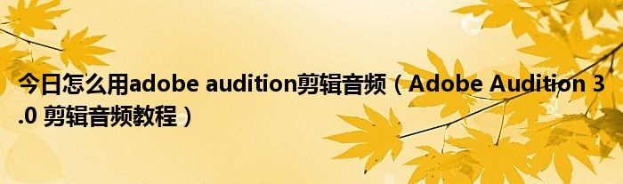 今日怎么用adobe audition剪辑音频（Adobe Audition 3.0 剪辑音频教程）