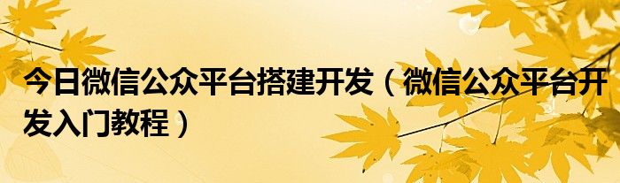 今日微信公众平台搭建开发（微信公众平台开发入门教程）