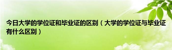 今日大学的学位证和毕业证的区别（大学的学位证与毕业证有什么区别）