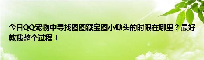 今日QQ宠物中寻找图图藏宝图小锄头的时限在哪里？最好教我整个过程！