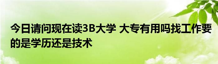 今日请问现在读3B大学 大专有用吗找工作要的是学历还是技术