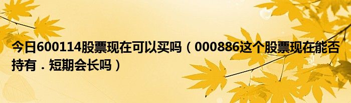 今日600114股票现在可以买吗（000886这个股票现在能否持有．短期会长吗）