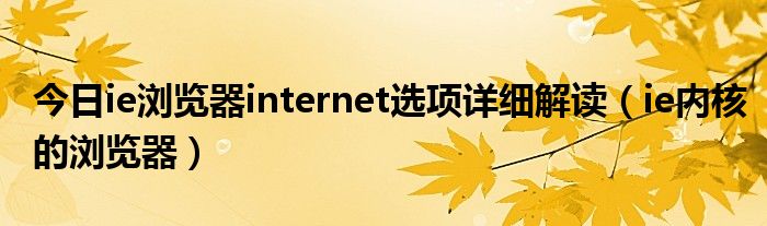 今日ie浏览器internet选项详细解读（ie内核的浏览器）