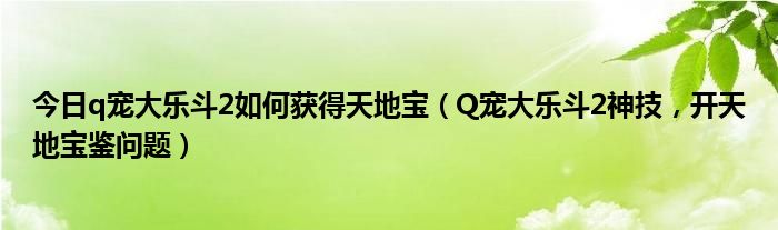 今日q宠大乐斗2如何获得天地宝（Q宠大乐斗2神技，开天地宝鉴问题）