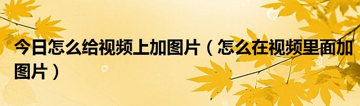 今日怎么给视频上加图片（怎么在视频里面加图片）